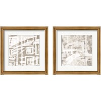 Framed Intertwined  2 Piece Framed Art Print Set
