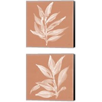 Framed 'Leaf Study Pheasant 2 Piece Canvas Print Set' border=