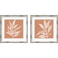 Framed 'Leaf Study Pheasant 2 Piece Framed Art Print Set' border=