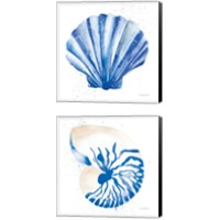 Framed 'Seashell 2 Piece Canvas Print Set' border=