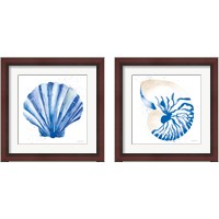Framed Seashell 2 Piece Framed Art Print Set