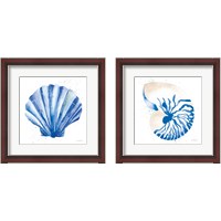 Framed 'Seashell 2 Piece Framed Art Print Set' border=