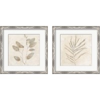 Framed Plantlife  2 Piece Framed Art Print Set