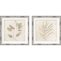 Framed Plantlife  2 Piece Framed Art Print Set