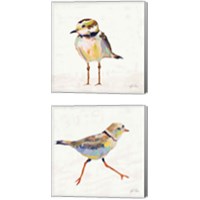 Framed Coastal Plover Linen 2 Piece Canvas Print Set