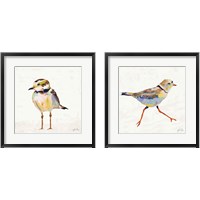 Framed Coastal Plover Linen 2 Piece Framed Art Print Set