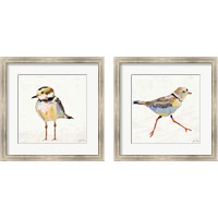 Framed 'Coastal Plover Linen 2 Piece Framed Art Print Set' border=