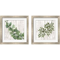 Framed Leaves on White 2 Piece Framed Art Print Set