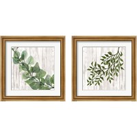 Framed 'Leaves on White 2 Piece Framed Art Print Set' border=