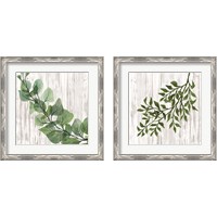 Framed Leaves on White 2 Piece Framed Art Print Set