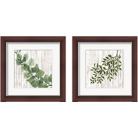 Framed Leaves on White 2 Piece Framed Art Print Set