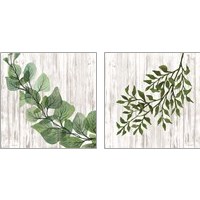 Framed Leaves on White 2 Piece Art Print Set