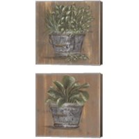 Framed 'Plant in Pail 2 Piece Canvas Print Set' border=