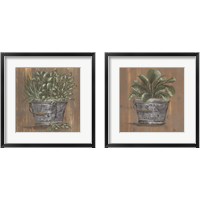 Framed 'Plant in Pail 2 Piece Framed Art Print Set' border=
