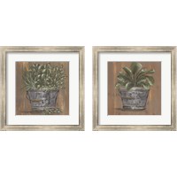 Framed Plant in Pail 2 Piece Framed Art Print Set