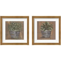 Framed 'Plant in Pail 2 Piece Framed Art Print Set' border=