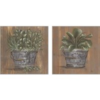 Framed 'Plant in Pail 2 Piece Art Print Set' border=