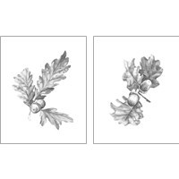 Framed Oak Leaf Pencil Sketch 2 Piece Art Print Set