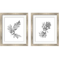 Framed 'Oak Leaf Pencil Sketch 2 Piece Framed Art Print Set' border=