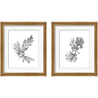 Framed Oak Leaf Pencil Sketch 2 Piece Framed Art Print Set