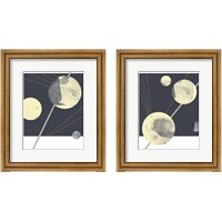 Framed 'Planetary Weights 2 Piece Framed Art Print Set' border=