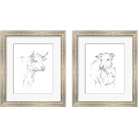 Framed 'Bovine Quick Study 2 Piece Framed Art Print Set' border=