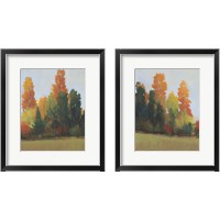 Framed Fall Colors 2 Piece Framed Art Print Set