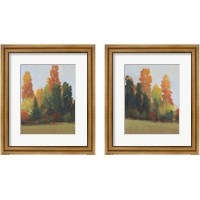 Framed 'Fall Colors 2 Piece Framed Art Print Set' border=