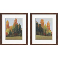 Framed 'Fall Colors 2 Piece Framed Art Print Set' border=