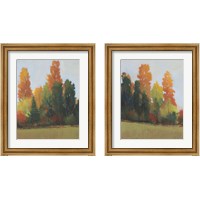 Framed 'Fall Colors 2 Piece Framed Art Print Set' border=
