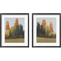 Framed Fall Colors 2 Piece Framed Art Print Set