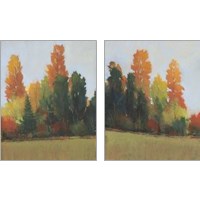 Framed 'Fall Colors 2 Piece Art Print Set' border=