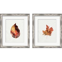 Framed Watercolor Autumn Leaf 2 Piece Framed Art Print Set