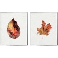 Framed 'Watercolor Autumn Leaf 2 Piece Canvas Print Set' border=