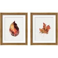 Framed Watercolor Autumn Leaf 2 Piece Framed Art Print Set