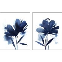 Framed 'Blazing Bloom 2 Piece Art Print Set' border=