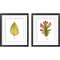 Framed 'Fall Leaf Study 2 Piece Framed Art Print Set' border=