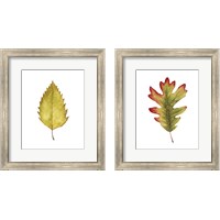 Framed Fall Leaf Study 2 Piece Framed Art Print Set