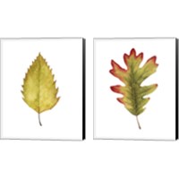 Framed 'Fall Leaf Study 2 Piece Canvas Print Set' border=
