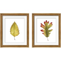 Framed 'Fall Leaf Study 2 Piece Framed Art Print Set' border=