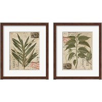 Framed 'Vintage Nature's Greenery 2 Piece Framed Art Print Set' border=