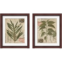 Framed Vintage Nature's Greenery 2 Piece Framed Art Print Set