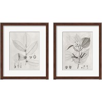 Framed 'Vintage Leaves 2 Piece Framed Art Print Set' border=