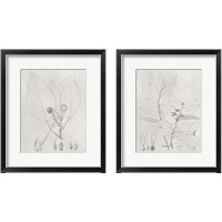 Framed 'Vintage Leaves 2 Piece Framed Art Print Set' border=