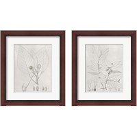 Framed 'Vintage Leaves 2 Piece Framed Art Print Set' border=