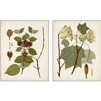 Framed Antique Leaves 2 Piece Art Print Set