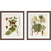 Framed 'Antique Leaves 2 Piece Framed Art Print Set' border=