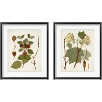 Framed Antique Leaves 2 Piece Framed Art Print Set