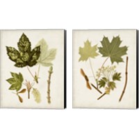 Framed 'Antique Leaves 2 Piece Canvas Print Set' border=