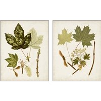Framed 'Antique Leaves 2 Piece Art Print Set' border=